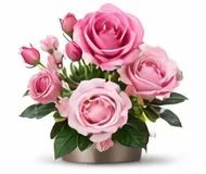 Троянда англійська