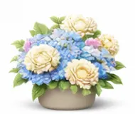 Волотисті гортензії