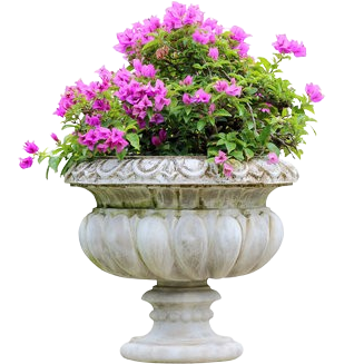 Каталог садових рослин