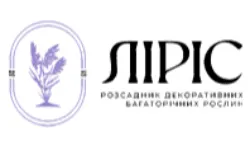 Розсадник  «Ліріс»