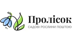 Розсадник Пролісок