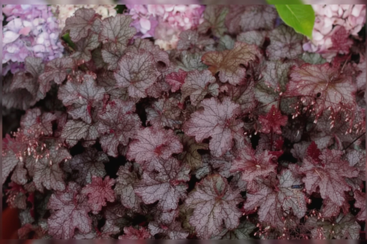 Гейхера Емезіст Міст