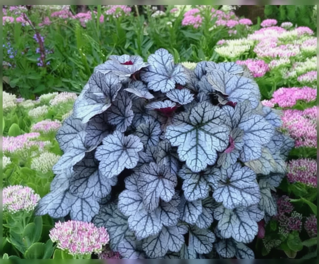 Гейхера Гліттер