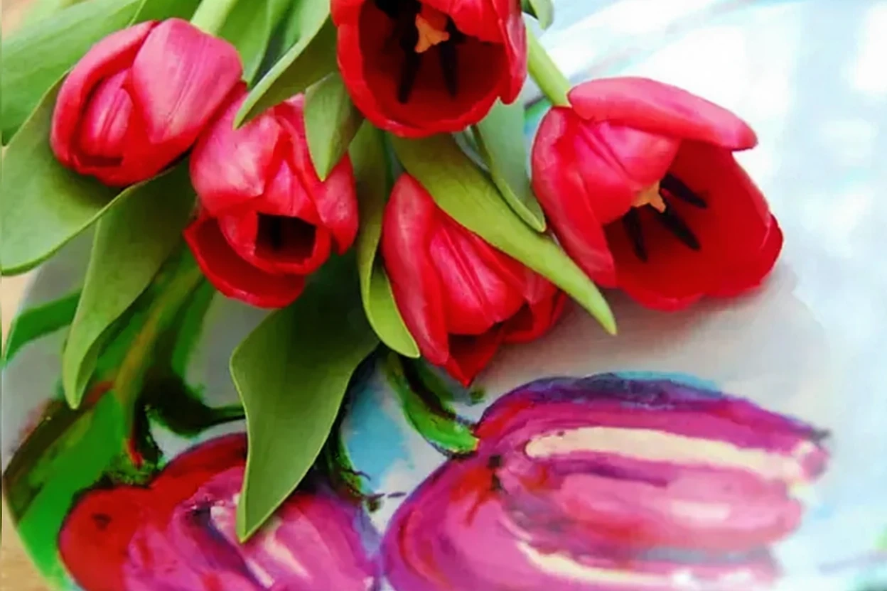 Тюльпан Апелдорн