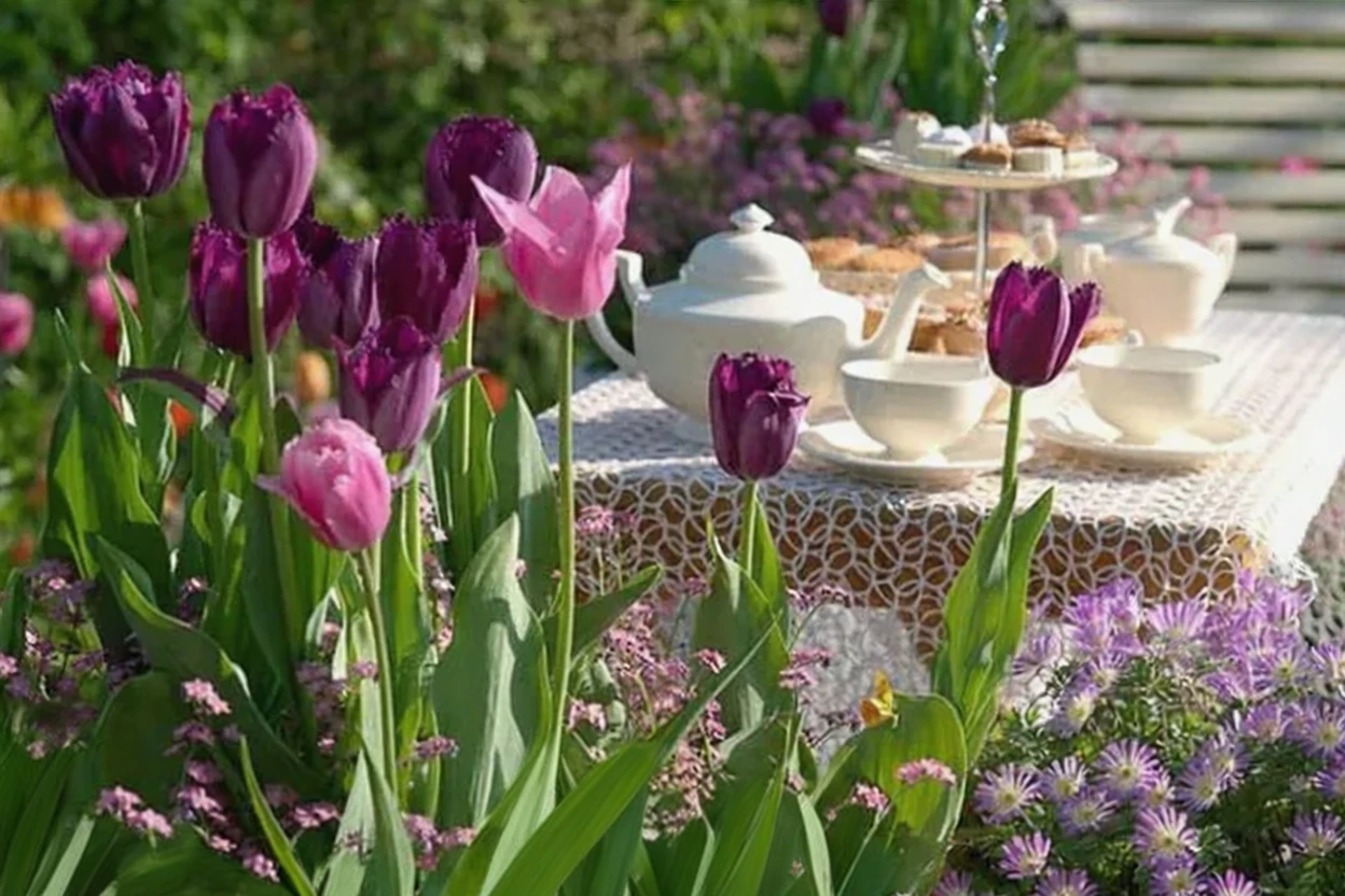 Тюльпан Керлі Сью