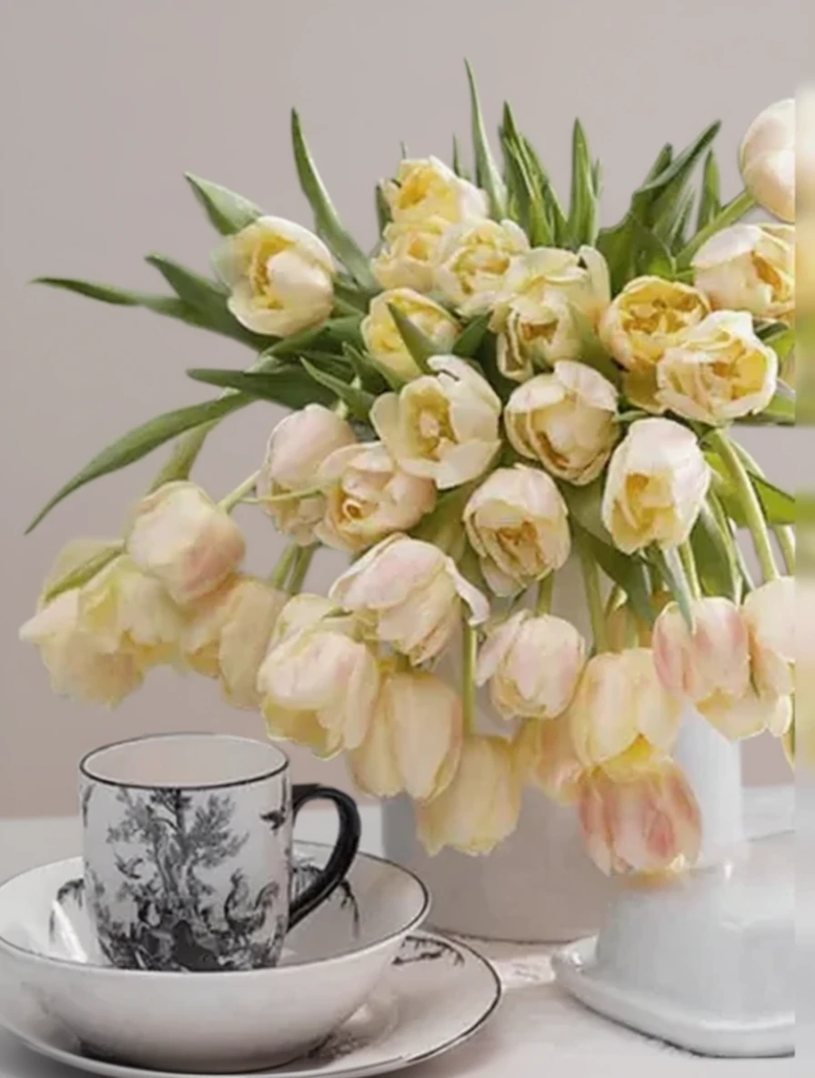 Тюльпан Монтре / Tulipa Montreux