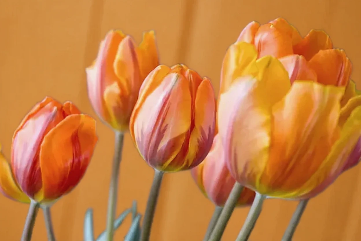 Тюльпан Прінсес Ірен