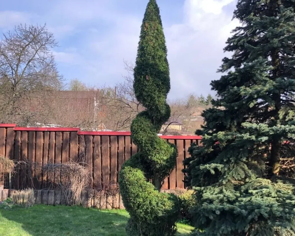 Ландшафтный дизайн