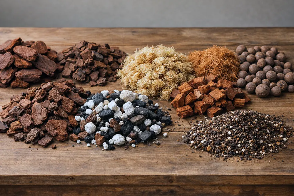 ґрунт для орхідей