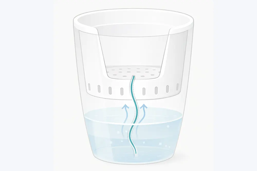 Фото горщики для орхідеї з жгутом